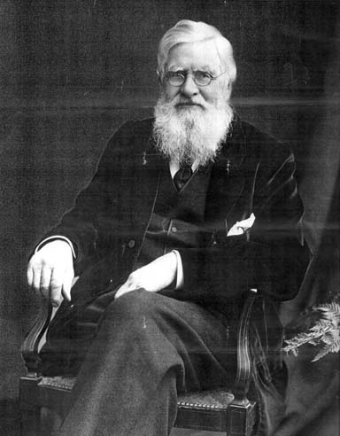 Wallace